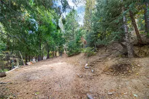 814 Glen View Ln, Twin Peaks, CA 92391 - Photo 26