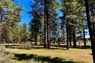 0 Butterfly Peak Rd, Mountain Center, CA 92561 - Photo 14