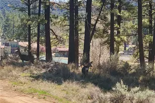 0 Butterfly Peak Rd, Mountain Center, CA 92561 - Photo 6