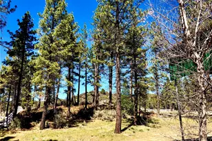 0 Butterfly Peak Rd, Mountain Center, CA 92561 - Photo 12