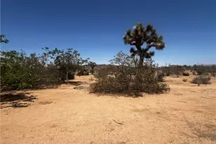 1489 Balsa Ave, Yucca Valley, CA 92284 - Photo 8