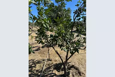 44845 Benton Road, Hemet, CA 92544 - Photo 12