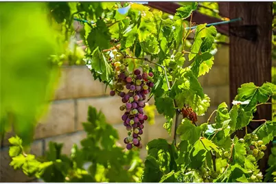 35416 Oakstone Creek Court, Winchester, CA 92596 - Photo 30