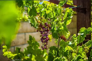 35416 Oakstone Creek Ct, Winchester, CA 92596 - Photo 30