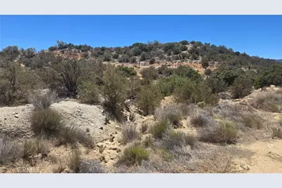 0 Old Cattle Trail, Anza, CA 92539 - Photo 6
