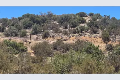 0 Old Cattle Trail, Anza, CA 92539 - Photo 20