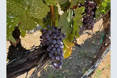 39547 Calle Cabernet, Temecula, CA 92591 - Photo 68