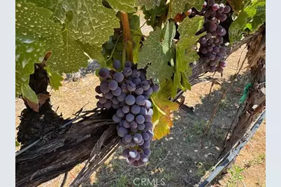 39547 Calle Cabernet, Temecula, CA 92591 - Photo 68