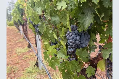 39547 Calle Cabernet, Temecula, CA 92591 - Photo 70