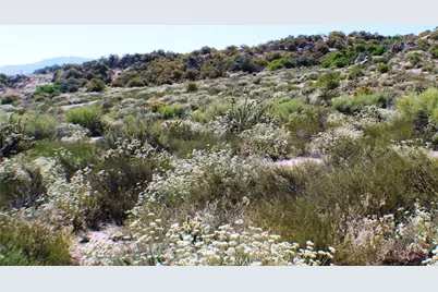 42560 Labrinia Lane, Anza, CA 92539 - Photo 12