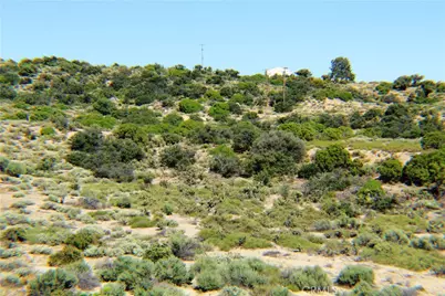 42560 Labrinia Lane, Anza, CA 92539 - Photo 4