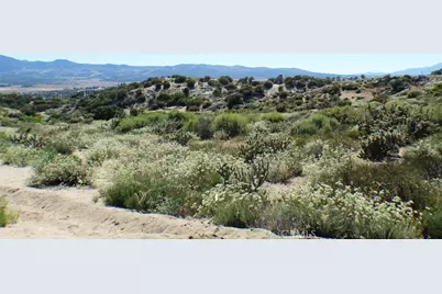 42560 Labrinia Lane, Anza, CA 92539 - Photo 10