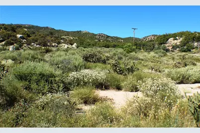 42560 Labrinia Lane, Anza, CA 92539 - Photo 14