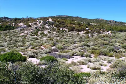 42560 Labrinia Lane, Anza, CA 92539 - Photo 16