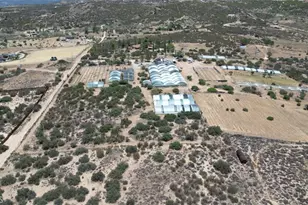 41790 Jay Dee Ln, Anza, CA 92539 - Photo 18