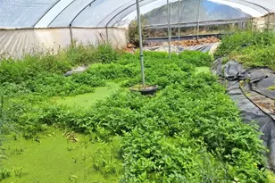 41790 Jay Dee Ln, Anza, CA 92539 - Photo 10