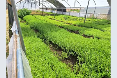 41790 Jay Dee Lane, Anza, CA 92539 - Photo 6