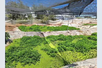 41790 Jay Dee Lane, Anza, CA 92539 - Photo 8