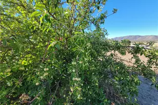 59120 Coyote Canyon Rd, Anza, CA 92539 - Photo 50