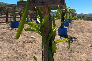 2 Via Vaquero, Temecula, CA 92590 - Photo 4