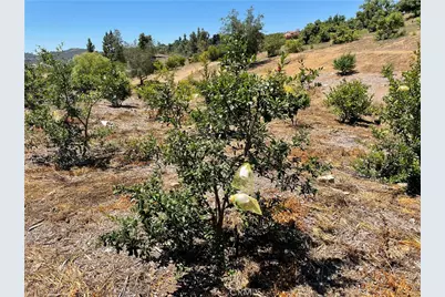 2 Via Vaquero, Temecula, CA 92590 - Photo 8