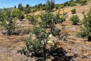 2 Via Vaquero, Temecula, CA 92590 - Photo 8