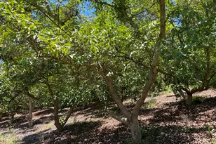 2 Via Vaquero, Temecula, CA 92590 - Photo 20