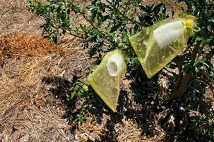 2 Via Vaquero, Temecula, CA 92590 - Photo 10