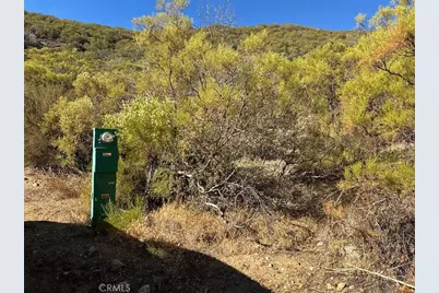 0 Chapman Road, Anza, CA 92539 - Photo 8