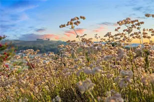 39010 E Benton Rd, Temecula, CA 92592 - Photo 38
