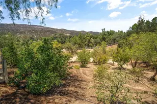 19750 Avenida Rosella, Murrieta, CA 92562 - Photo 54