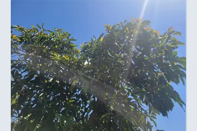 0 Los Gatos, Temecula, CA 92590 - Photo 6