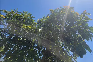 0 Los Gatos, Temecula, CA 92590 - Photo 6