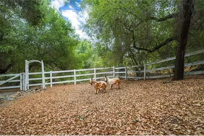 40860 Calle Bandido, Murrieta, CA 92562 - Photo 46