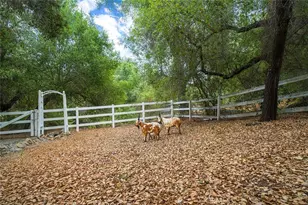 40860 Calle Bandido, Murrieta, CA 92562 - Photo 46