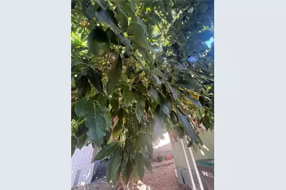 42751 E Florida Ave #163, Hemet, CA 92544 - Photo 24