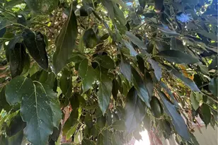 42751 E Florida Ave, Hemet, CA 92544 - Photo 24