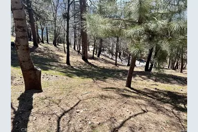 41 Fredalba Road, Running Springs, CA 92382 - Photo 8