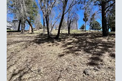 41 Fredalba Road, Running Springs, CA 92382 - Photo 2