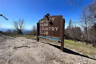 41 Fredalba Rd, Running Springs, CA 92382 - Photo 1