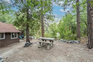 9165 Coffey Rd, Forest Falls, CA 92339 - Photo 4