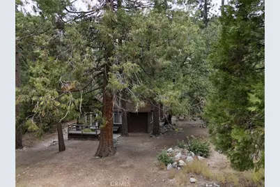 9165 Coffey Road, Forest Falls, CA 92339 - Photo 2