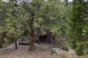 9165 Coffey Rd, Forest Falls, CA 92339 - Photo 2