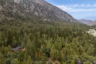 9165 Coffey Rd, Forest Falls, CA 92339 - Photo 24