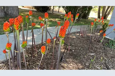 21457 Pecan, Wildomar, CA 92595 - Photo 58