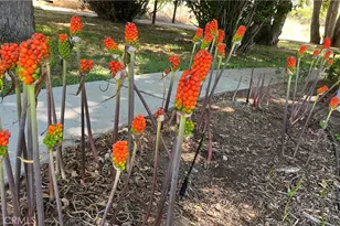 21457 Pecan, Wildomar, CA 92595 - Photo 58