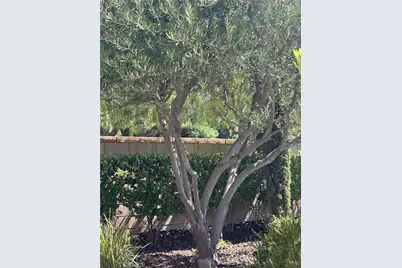 42351 Gronlund Court, Temecula, CA 92592 - Photo 54