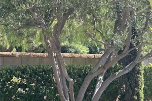 42351 Gronlund Ct, Temecula, CA 92592 - Photo 54