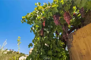 0 Los Casitas, Temecula, CA 92590 - Photo 10