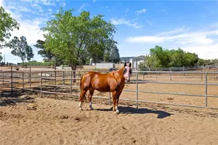 31250 Loretta Ave, Winchester, CA 92596 - Photo 6